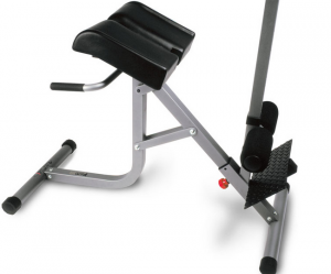 45/90 Hyperextension/Roman Chair F670