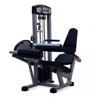 Performance Series Seated Leg Curl PES1040