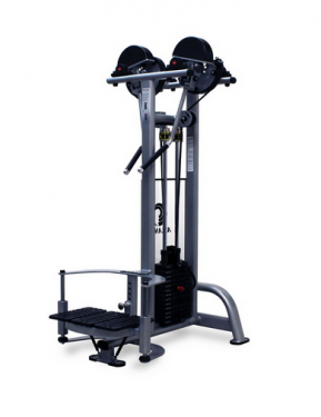 Precision Series Standing Lateral Raise PRS4030