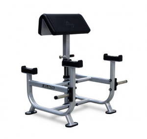 Standing Preacher Curl B-155 